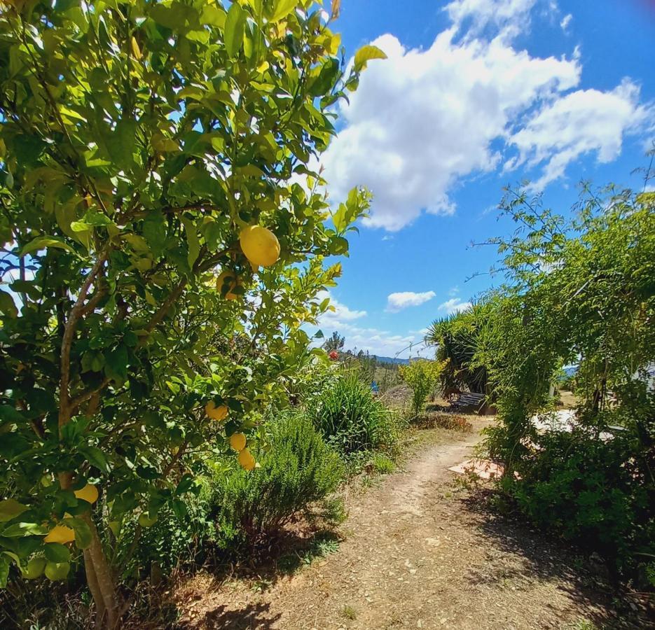 Holiday home Vale De Garcia Al 5357 Colos (Santarem)